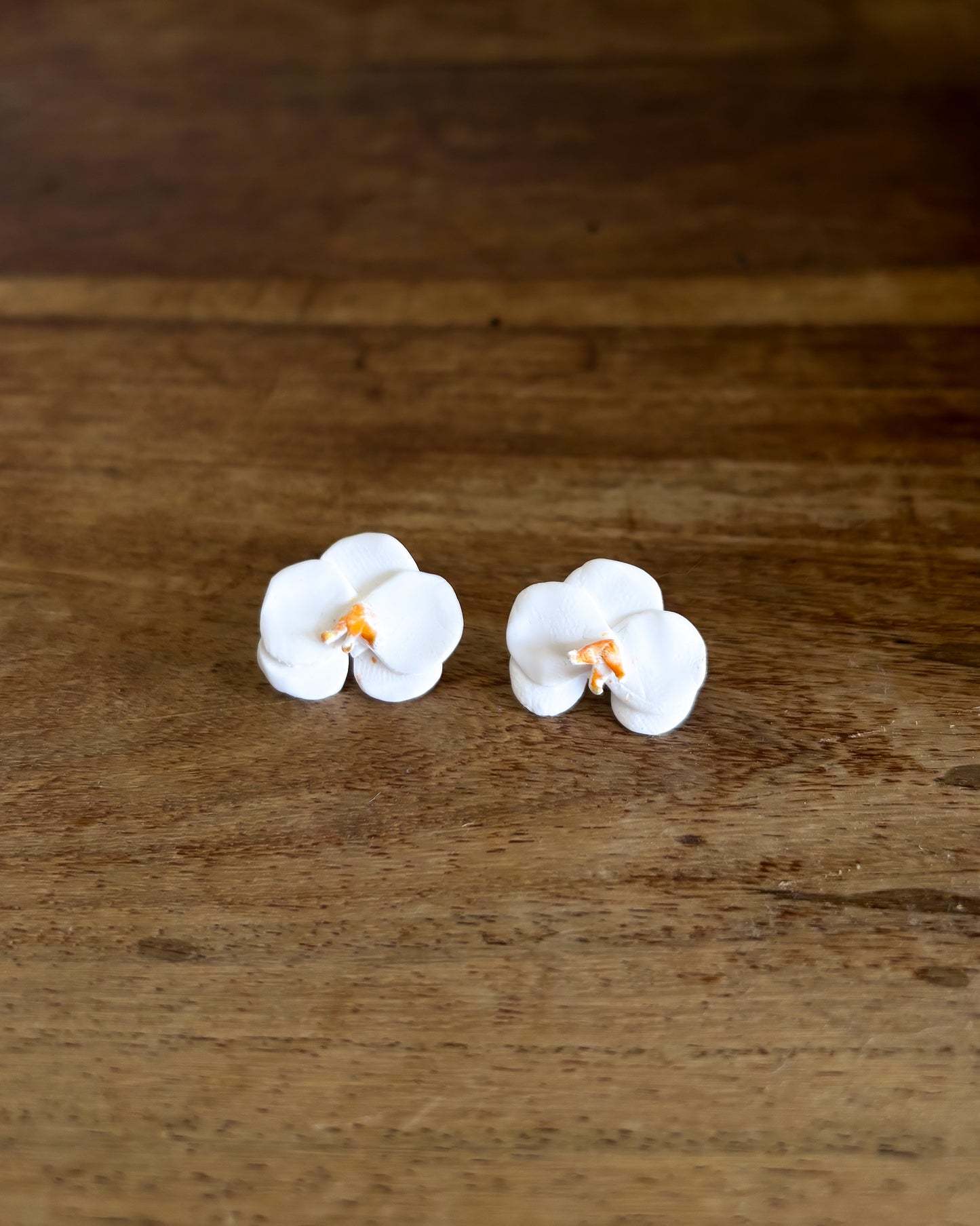 Orquídeas