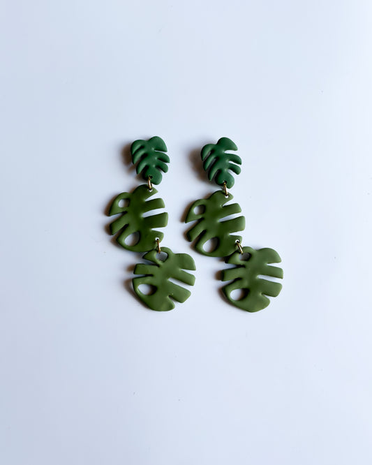 monstera garden