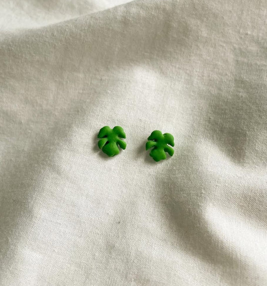 Mini monstera