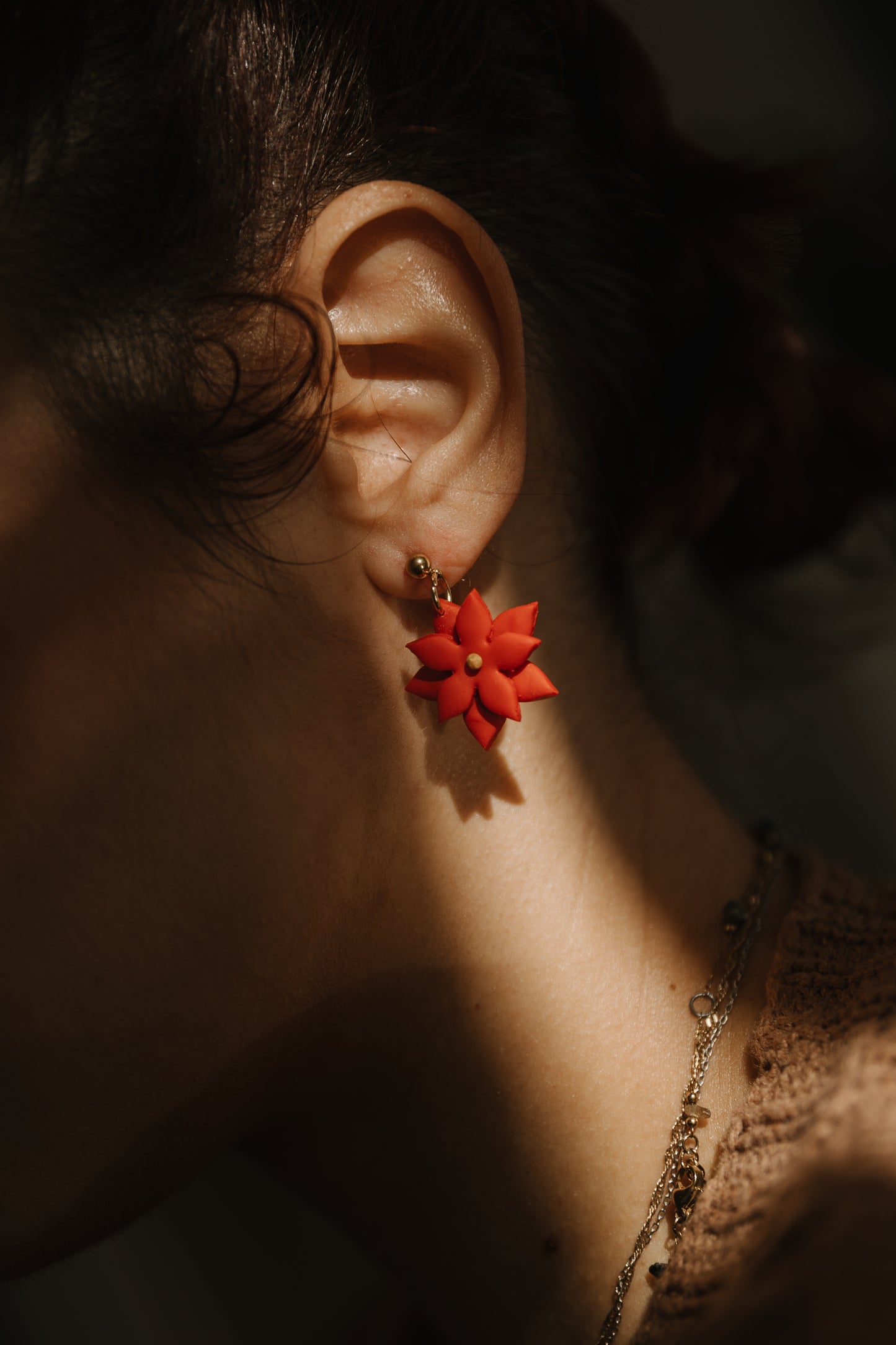 Flor de natal